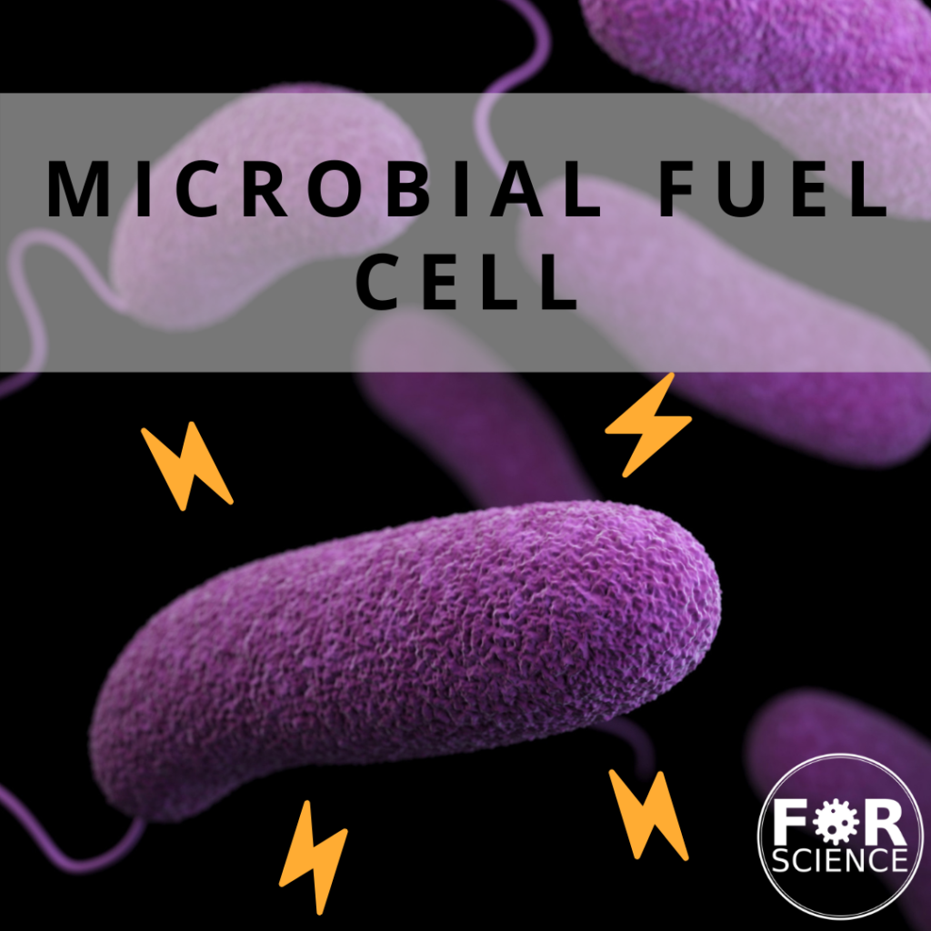 microheroes microbial fuel cell forscience